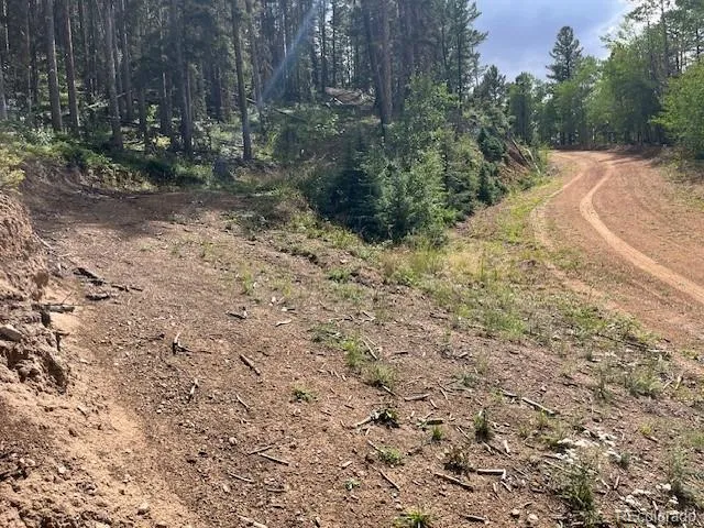 Lot 5586 Kawasaki Road San Luis, CO 81152