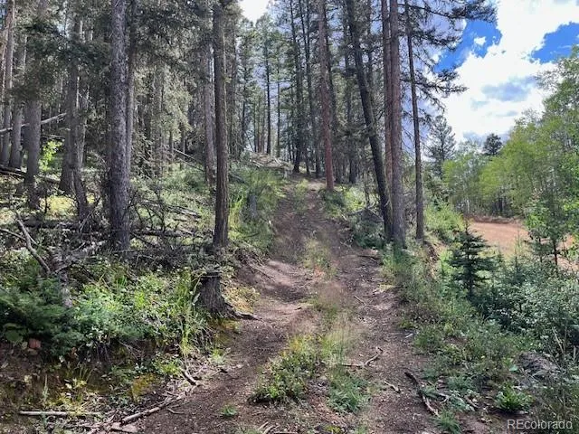 Lot 5586 Kawasaki Road San Luis, CO 81152
