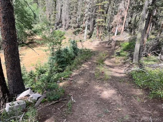Lot 5586 Kawasaki Road San Luis, CO 81152
