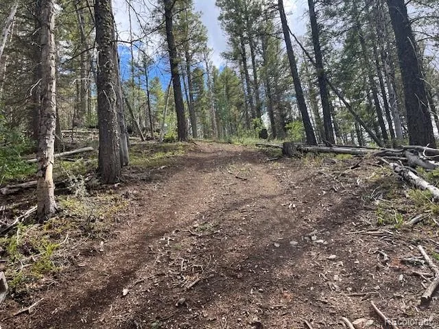 Lot 5586 Kawasaki Road San Luis, CO 81152