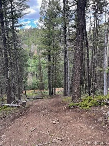 Lot 5586 Kawasaki Road San Luis, CO 81152