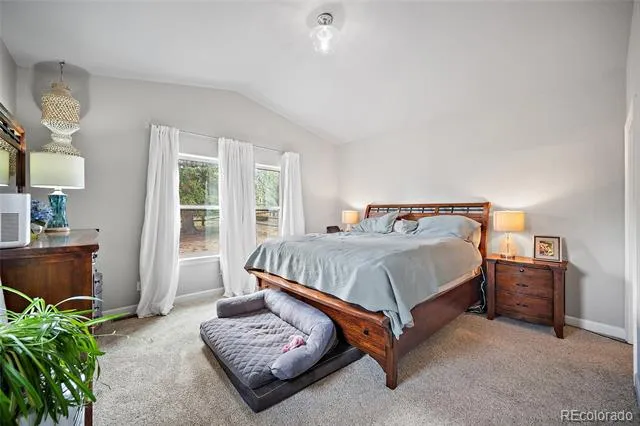 1101 Ptarmigan Drive Woodland Park, CO 80863