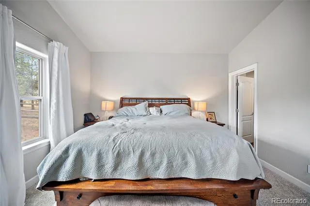1101 Ptarmigan Drive Woodland Park, CO 80863
