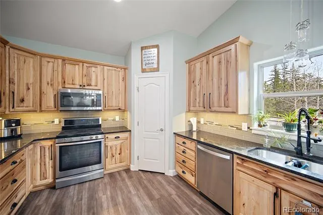 1101 Ptarmigan Drive Woodland Park, CO 80863