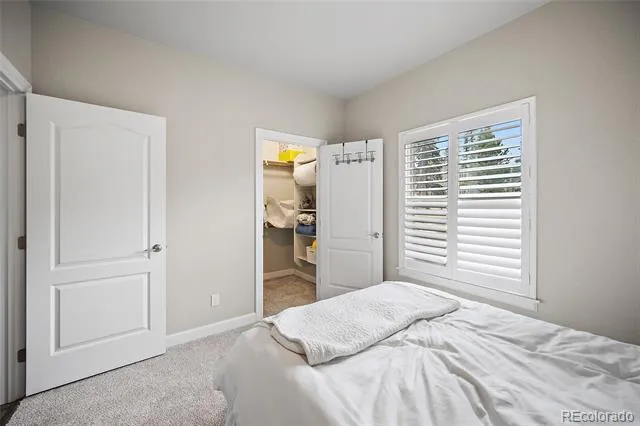 1101 Ptarmigan Drive Woodland Park, CO 80863