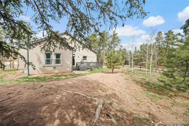 1101 Ptarmigan Drive Woodland Park, CO 80863