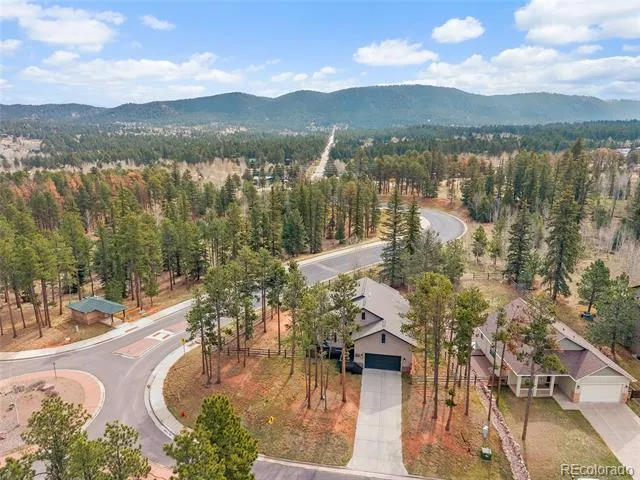 1101 Ptarmigan Drive Woodland Park, CO 80863