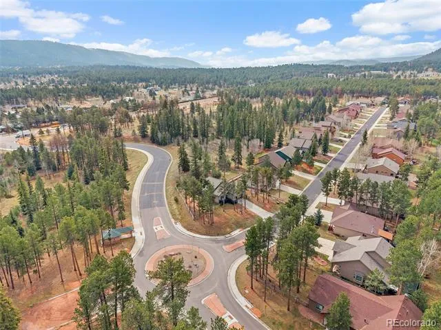 1101 Ptarmigan Drive Woodland Park, CO 80863