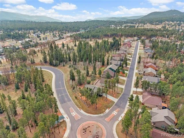 1101 Ptarmigan Drive Woodland Park, CO 80863