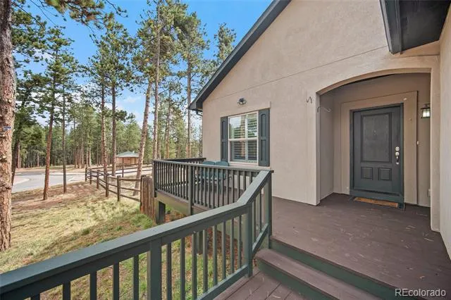 1101 Ptarmigan Drive Woodland Park, CO 80863