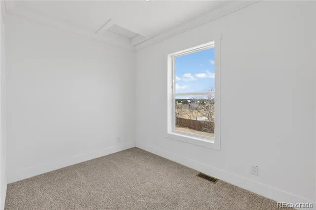 4 Deklen Williamsburg, CO 81226