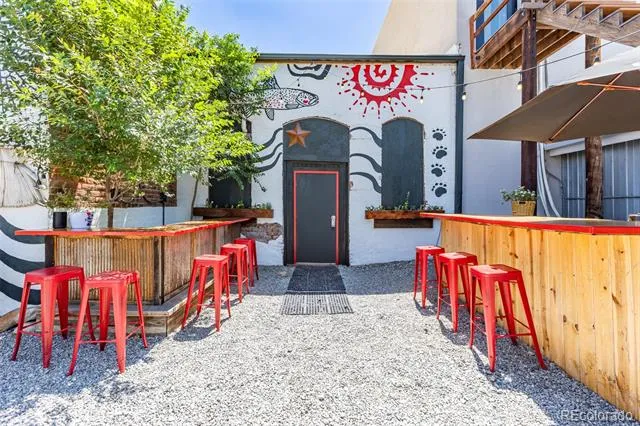 308 E Main Street Buena Vista, CO 81211