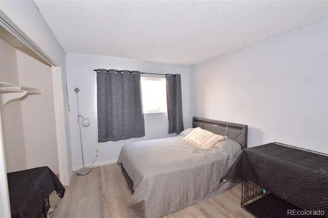 647 Red Cliff Road Colorado Springs, CO 80906
