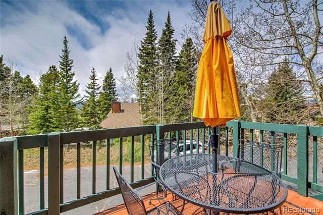 29 Washington Lode #D Breckenridge, CO 80424