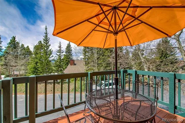 29 Washington Lode #D Breckenridge, CO 80424