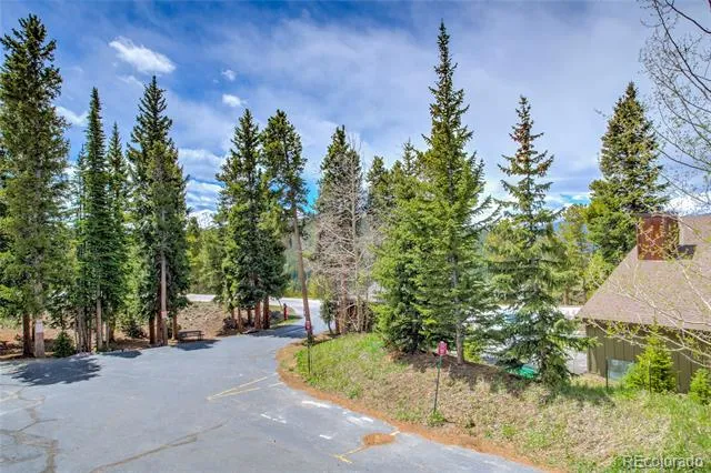 29 Washington Lode #D Breckenridge, CO 80424