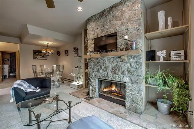 29 Washington Lode #D Breckenridge, CO 80424