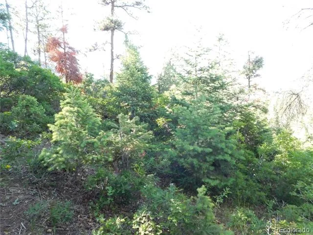 5425 Cheyenne Drive Larkspur, CO 80118