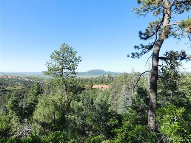 5425 Cheyenne Drive Larkspur, CO 80118