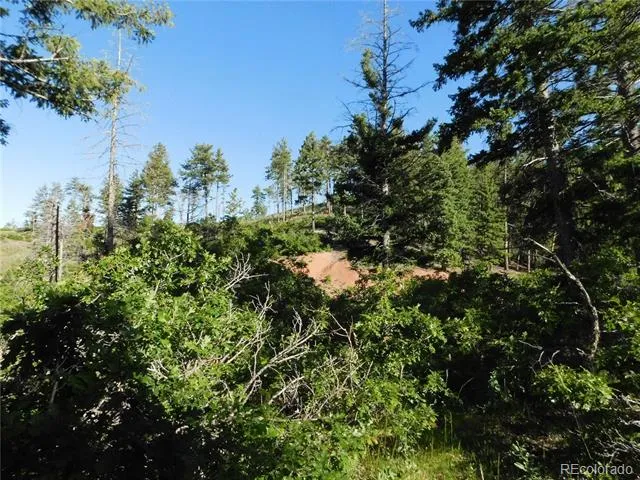 5425 Cheyenne Drive Larkspur, CO 80118