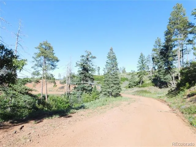 5425 Cheyenne Drive Larkspur, CO 80118