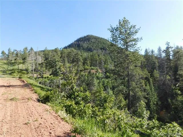 5425 Cheyenne Drive Larkspur, CO 80118