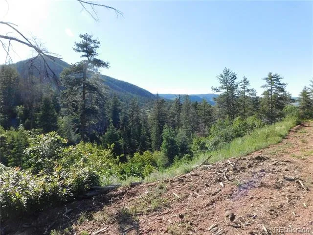 5425 Cheyenne Drive Larkspur, CO 80118