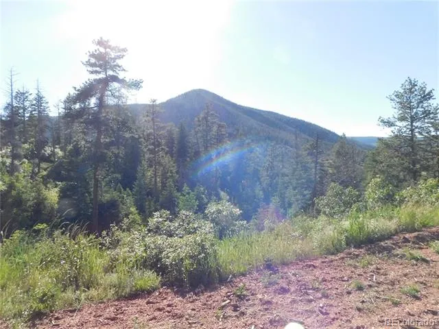 5425 Cheyenne Drive Larkspur, CO 80118