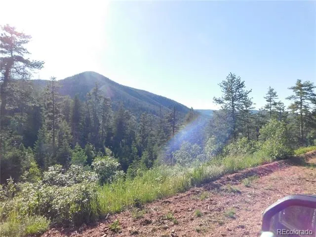 5425 Cheyenne Drive Larkspur, CO 80118