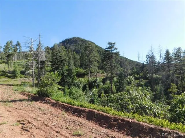 5425 Cheyenne Drive Larkspur, CO 80118