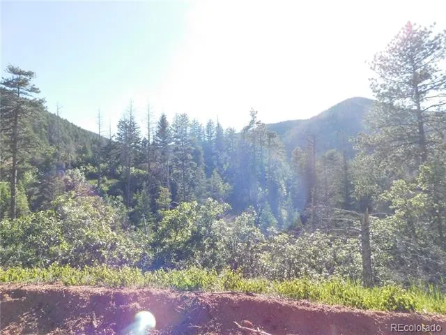 5425 Cheyenne Drive Larkspur, CO 80118