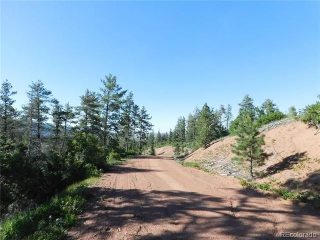 5425 Cheyenne Drive Larkspur, CO 80118