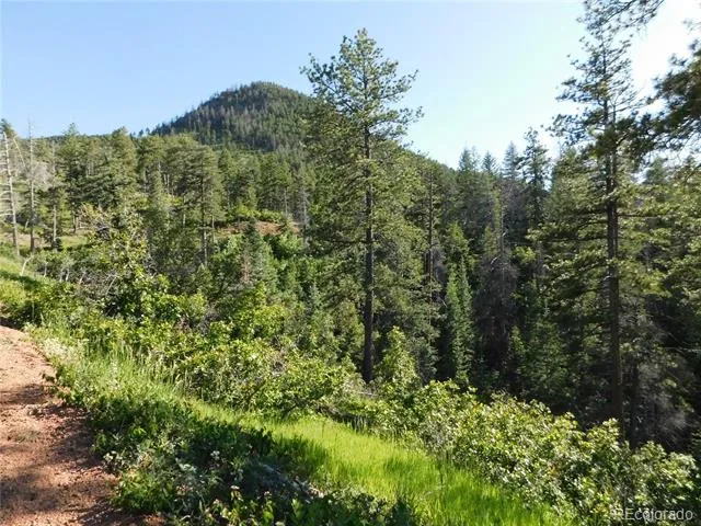 5425 Cheyenne Drive Larkspur, CO 80118