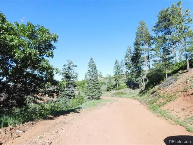 5425 Cheyenne Drive Larkspur, CO 80118