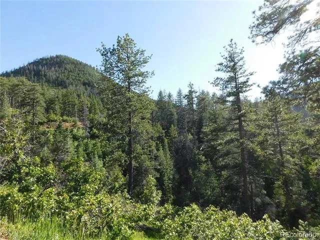 5425 Cheyenne Drive Larkspur, CO 80118