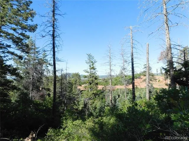5425 Cheyenne Drive Larkspur, CO 80118