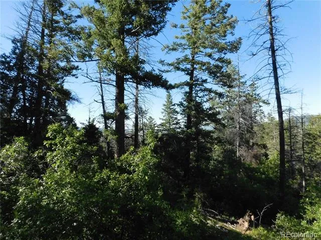 5425 Cheyenne Drive Larkspur, CO 80118
