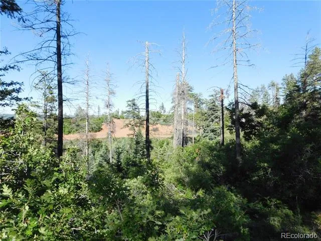 5425 Cheyenne Drive Larkspur, CO 80118