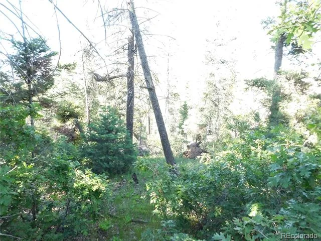 5425 Cheyenne Drive Larkspur, CO 80118