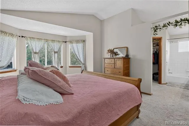 5242 E 123rd Court Thornton, CO 80241