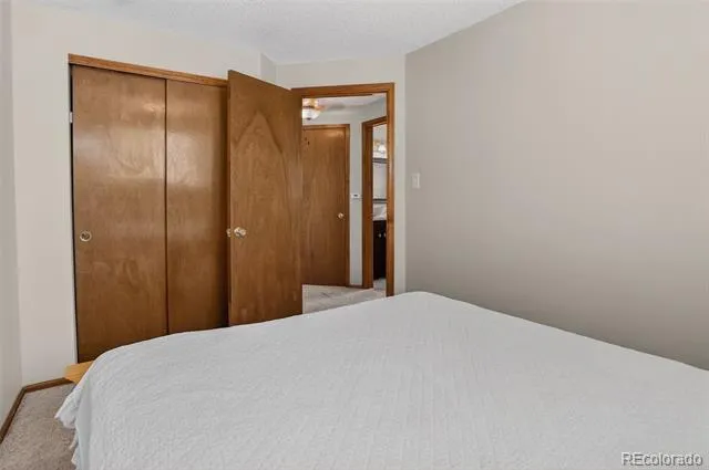 5242 E 123rd Court Thornton, CO 80241
