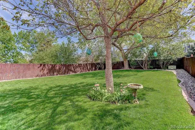 5242 E 123rd Court Thornton, CO 80241