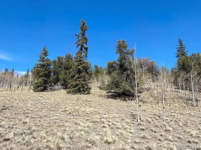 622 Longbow Drive Jefferson, CO 80456
