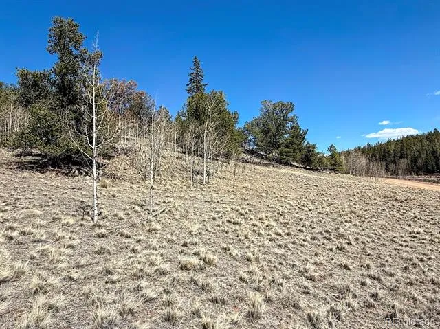 622 Longbow Drive Jefferson, CO 80456