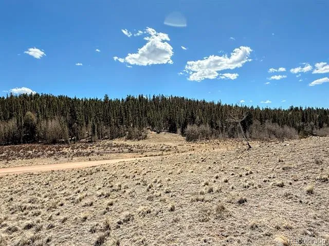 622 Longbow Drive Jefferson, CO 80456