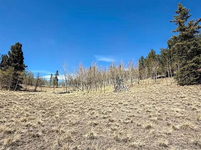 622 Longbow Drive Jefferson, CO 80456