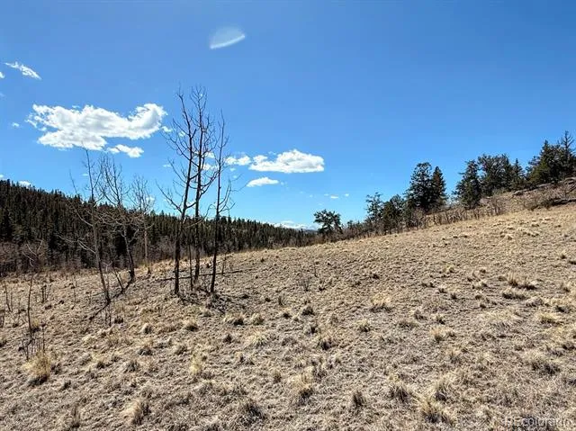 622 Longbow Drive Jefferson, CO 80456