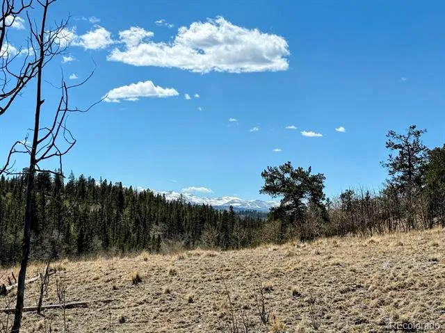 622 Longbow Drive Jefferson, CO 80456