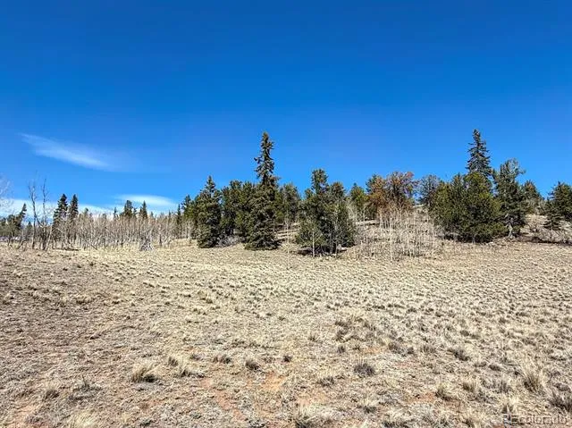 622 Longbow Drive Jefferson, CO 80456