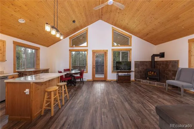 1034 Venture Road Fairplay, CO 80440